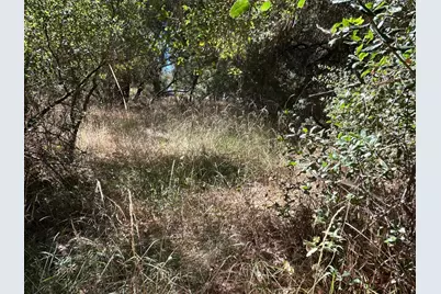 9153 Manzanita Lane, Oregon House, CA 95962 - Photo 67