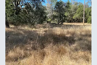 9153 Manzanita Lane, Oregon House, CA 95962 - Photo 55