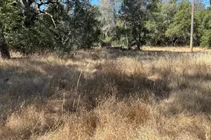 9153 Manzanita Ln, Oregon House, CA 95962 - Photo 55