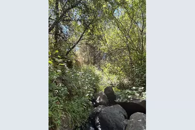 9153 Manzanita Lane, Oregon House, CA 95962 - Photo 33