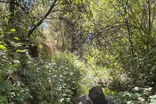 9153 Manzanita Ln, Oregon House, CA 95962 - Photo 33