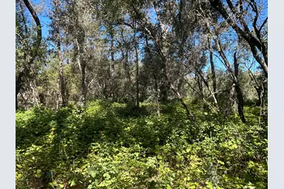 9153 Manzanita Lane, Oregon House, CA 95962 - Photo 63