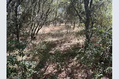 9153 Manzanita Lane, Oregon House, CA 95962 - Photo 65