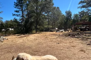 9153 Manzanita Ln, Oregon House, CA 95962 - Photo 31