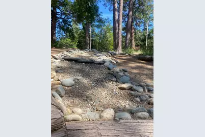 9427 Grizzly Flat Road, Grizzly Flats, CA 95636 - Photo 45