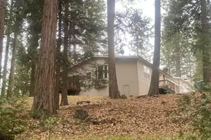 9427 Grizzly Flat Rd, Grizzly Flats, CA 95636 - Photo 35