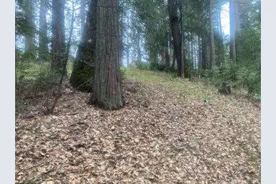 9427 Grizzly Flat Road, Grizzly Flats, CA 95636 - Photo 39