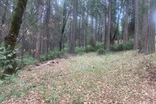 9427 Grizzly Flat Rd, Grizzly Flats, CA 95636 - Photo 39