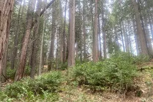 9427 Grizzly Flat Rd, Grizzly Flats, CA 95636 - Photo 43