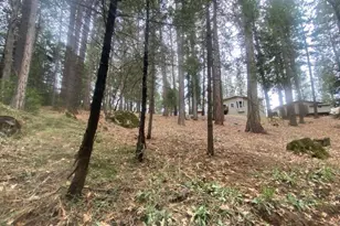9427 Grizzly Flat Rd, Grizzly Flats, CA 95636 - Photo 37