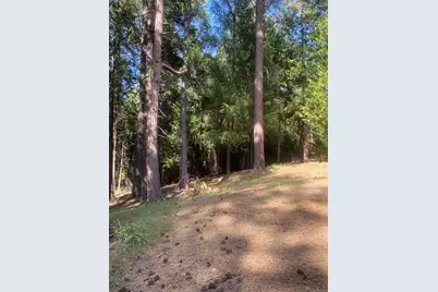 9427 Grizzly Flat Road, Grizzly Flats, CA 95636 - Photo 75