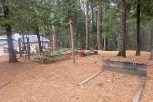 9427 Grizzly Flat Rd, Grizzly Flats, CA 95636 - Photo 31