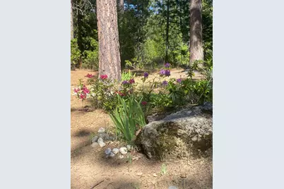 9427 Grizzly Flat Road, Grizzly Flats, CA 95636 - Photo 57