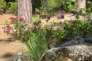 9427 Grizzly Flat Rd, Grizzly Flats, CA 95636 - Photo 57