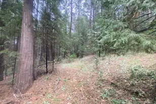 9427 Grizzly Flat Rd, Grizzly Flats, CA 95636 - Photo 33