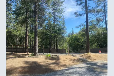 9427 Grizzly Flat Road, Grizzly Flats, CA 95636 - Photo 67