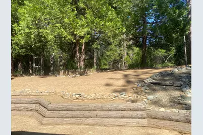 9427 Grizzly Flat Road, Grizzly Flats, CA 95636 - Photo 73