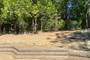 9427 Grizzly Flat Rd, Grizzly Flats, CA 95636 - Photo 73
