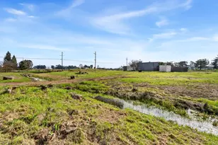 10225 Browning St, Elverta, CA 95626 - Photo 37