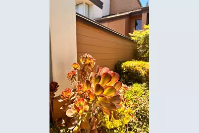 1417 W Swain Road, Stockton, CA 95207 - Photo 5