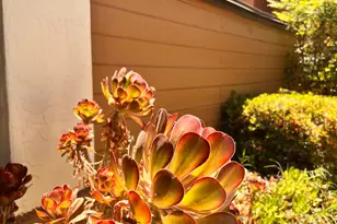 1417 W Swain Rd, Stockton, CA 95207 - Photo 5