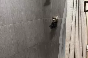 1017 Hamlet Ct, Stockton, CA 95209 - Photo 27