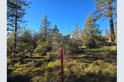 0 Double Eagle Way, Brownsville, CA 95919 - Photo 19