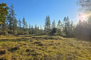 0 Double Eagle Way, Brownsville, CA 95919 - Photo 1