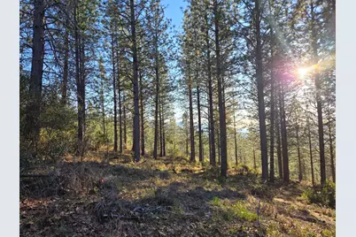 0 Double Eagle Way, Brownsville, CA 95919 - Photo 29