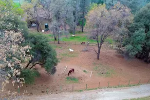 4640 Cabernet Way, Placerville, CA 95667 - Photo 35