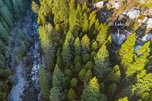 20 Lake St, Sierra City, CA 96125 - Photo 33