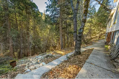 20 Lake St., Sierra City, CA 96125 - Photo 29