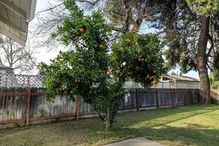 153 Almond Ave, Turlock, CA 95380 - Photo 33