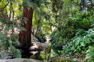 2018 Whistler Way, Somerset, CA 95684 - Photo 57