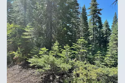 19231 Marsh Mill Road, Nevada City, CA 95959 - Photo 13