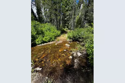 19231 Marsh Mill Road, Nevada City, CA 95959 - Photo 5