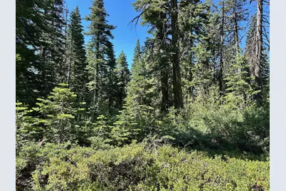 19231 Marsh Mill Road, Nevada City, CA 95959 - Photo 19