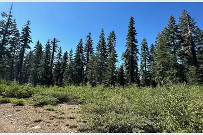 19231 Marsh Mill Road, Nevada City, CA 95959 - Photo 3