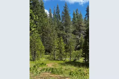 19231 Marsh Mill Road, Nevada City, CA 95959 - Photo 7