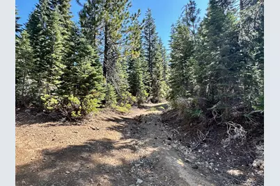 19231 Marsh Mill Road, Nevada City, CA 95959 - Photo 5