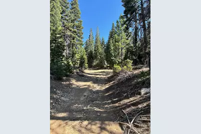 19231 Marsh Mill Road, Nevada City, CA 95959 - Photo 23