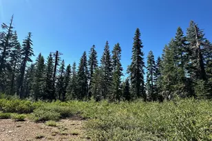 19231 Marsh Mill Rd, Nevada City, CA 95959 - Photo 1