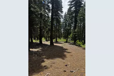 19231 Marsh Mill Road, Nevada City, CA 95959 - Photo 11