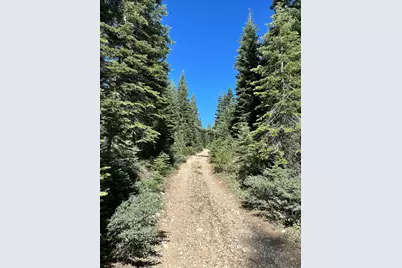 19231 Marsh Mill Road, Nevada City, CA 95959 - Photo 9