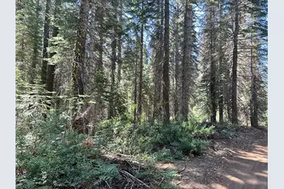 19372 Marsh Mill Road, Nevada City, CA 95959 - Photo 7