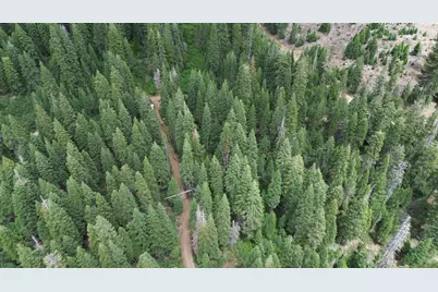 19372 Marsh Mill Road, Nevada City, CA 95959 - Photo 3