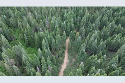19372 Marsh Mill Road, Nevada City, CA 95959 - Photo 1