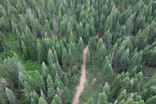 19372 Marsh Mill Rd, Nevada City, CA 95959 - Photo 1
