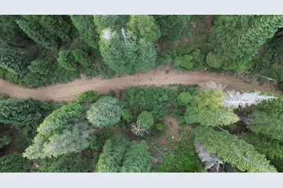 19372 Marsh Mill Road, Nevada City, CA 95959 - Photo 11