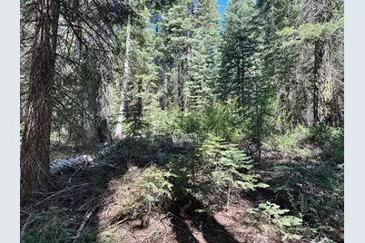 19372 Marsh Mill Road, Nevada City, CA 95959 - Photo 9